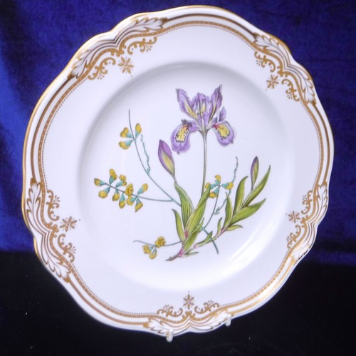 Spode stafford flowers 00 - spode,