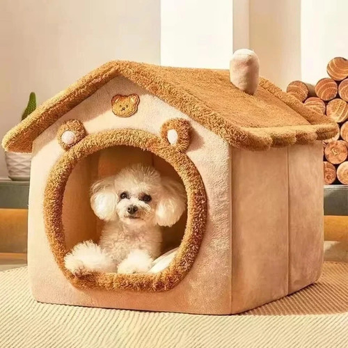Pet cat kitten dog - cat, beds
