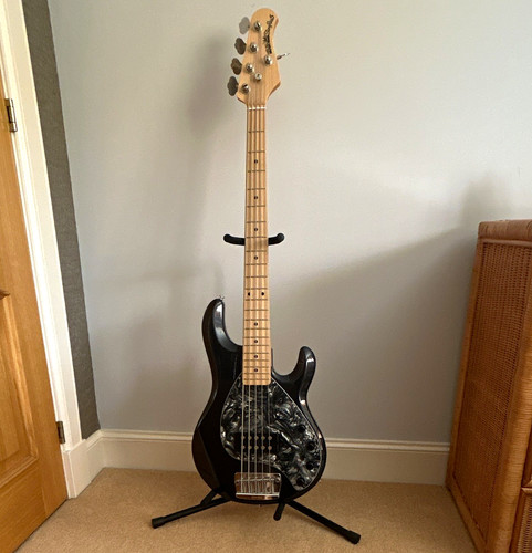 Ernie ball music - ball, stingray