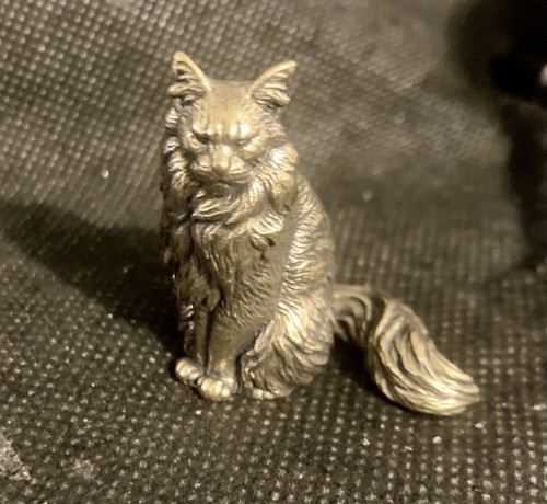 Maine coon cat brass - coon,
