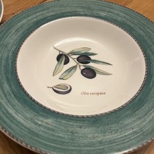 Wedgwood Sarah's Garden Flat Rimmed 9" Soup/ Pasta Bowl Olea Olives