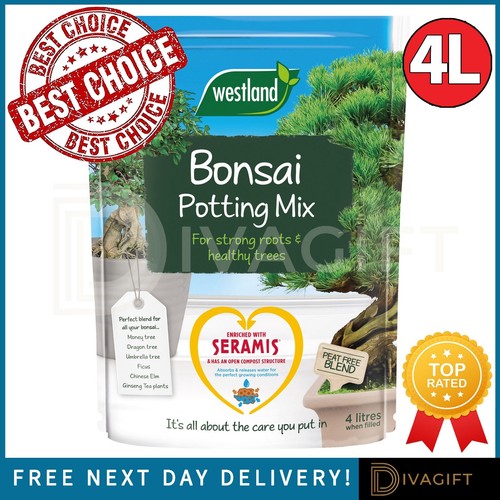 Westland bonsai potting - bonsai,