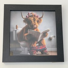 Highland cow sitting on a
