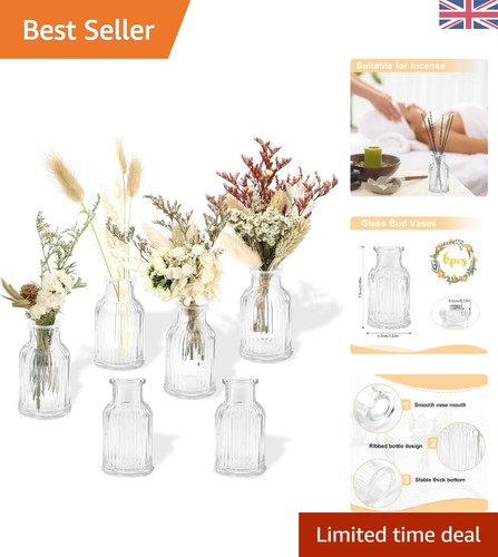 Elegant 50ml mini ribbed - ribbed, glass