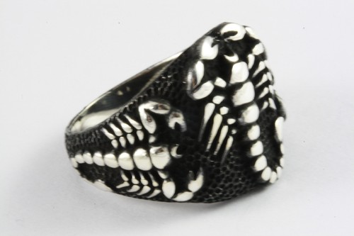 Black biker scorpion - biker,