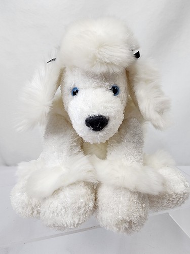White french poodle - white,