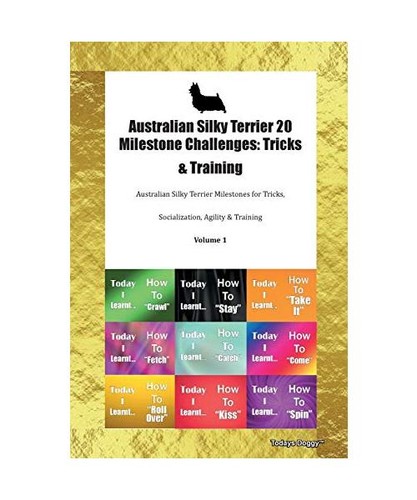 Australian silky terrier - terrier, 20