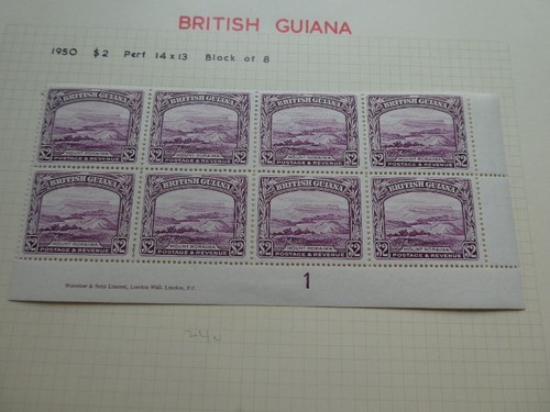 British guiana 1938 mint - british,