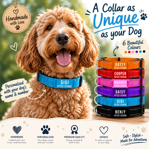 Personalised dog collar - personalised, name