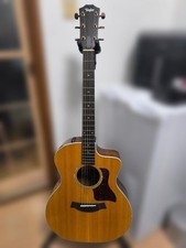 Taylor 214se with Dent