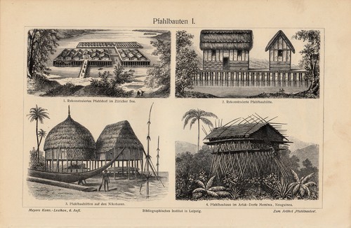 1895 old original lithograph - 1895,