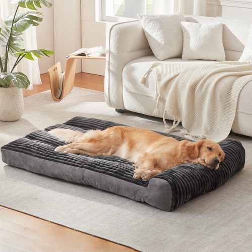 Dog beds for - dog,