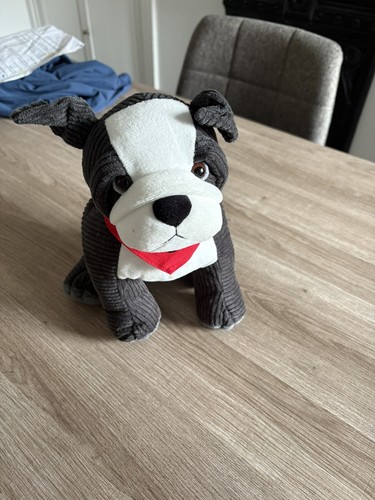 Genuine mini bulldog - genuine,