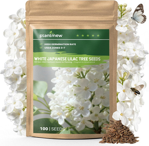 White japanese lilac - white,