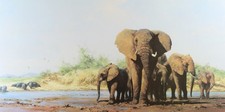 DAVID SHEPHERD, 'EVENING IN AFRICA', LIMITED EDITION ELEPHANTS PRINT, SIGNED