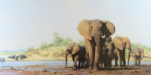 David shepherd evening in - shepherd,,