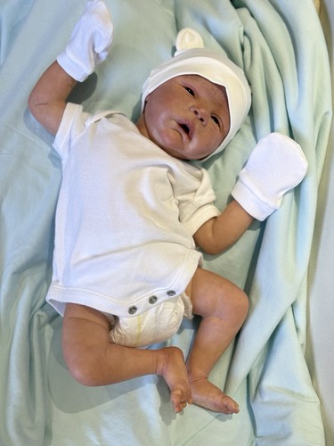 Reborn baby doll alessandro - doll,