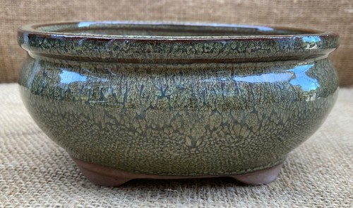 Green glazed oval bonsai - green,
