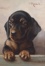 Young Dachshund Vintage