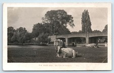 POSTCARD WALTON-ON-THAMES -