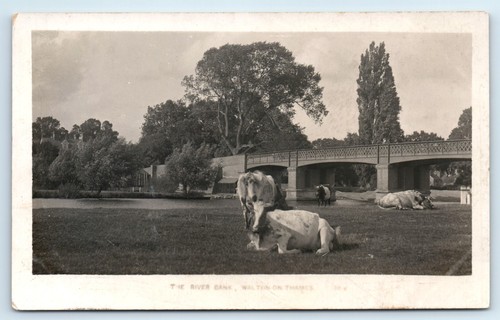 Postcard walton thames - walton-on-thames,