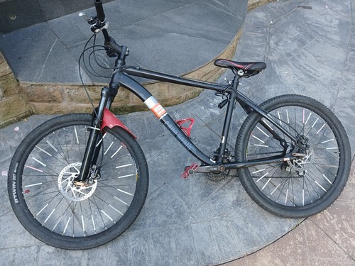 Mountain bike - mountain,