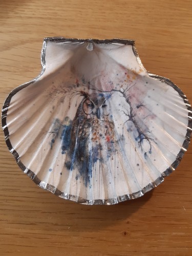 Owl scallop shell - owl, dish