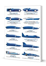 Donald Campbell - Bluebird