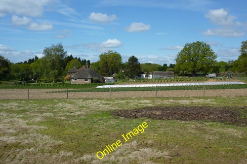 Photo 6x4 sheepgate farm - 6x4,