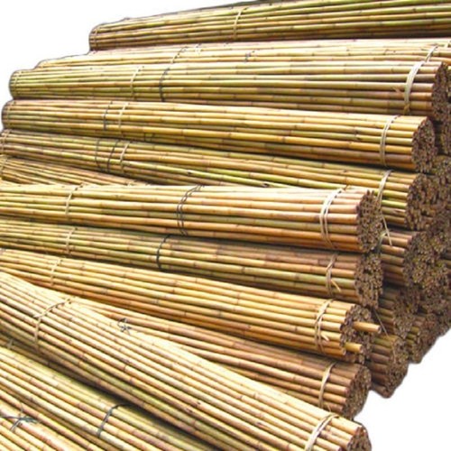 Bamboo heavy duty plant - duty,