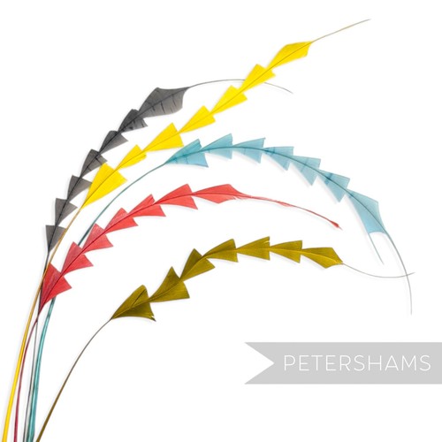 Zig zag coque feather for - feather,