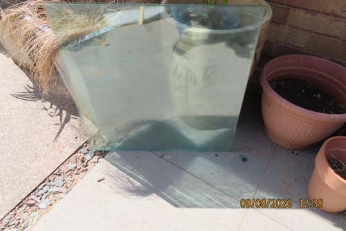 Greenhouse glass 24 - glass, 24"