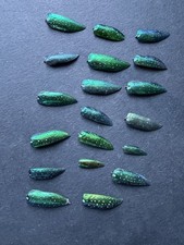 19x Green Natural Jewelry
