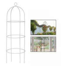 Garden Rose Plant Arch Obelisk