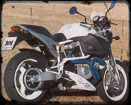 Buell x1w white lightning - buell, 1