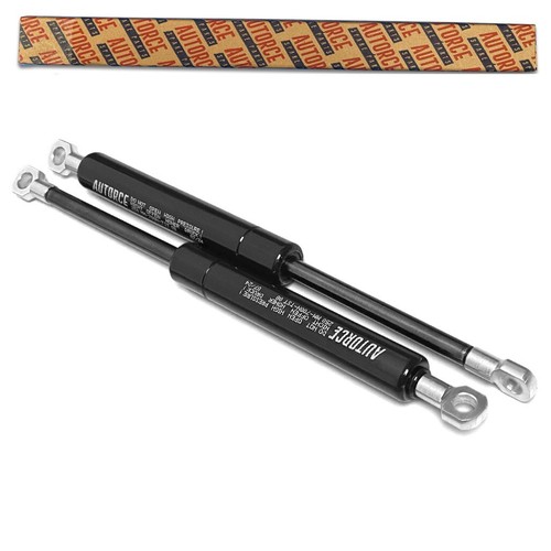 100n universal gas - 2x, struts