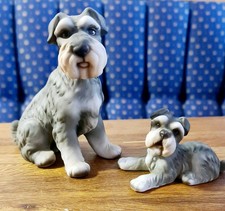Pair of HHH Schnauzer Dog