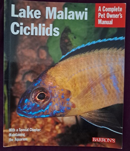 Lake malawi cichlids pet - lake,