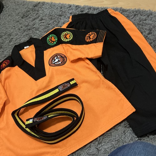 Little tiger cubs - tiger, taekwondo