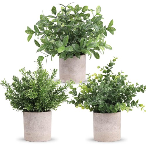 Set artificial plants - of, in