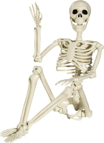 90cm halloween skeleton - 90cm,