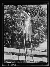 Photo:Mrs Wright Hendricks