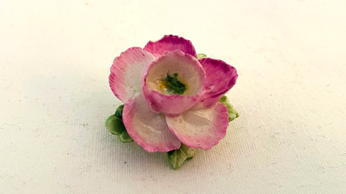 Vintage staffordshire bone - vintage,