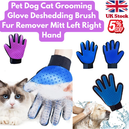 Pet dog cat - pet, grooming