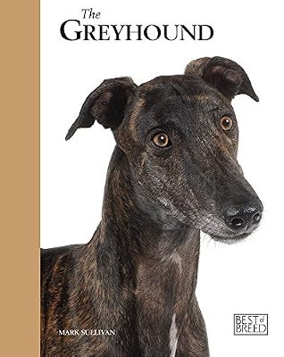 Greyhound best of breed - greyhound,