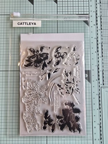 Altenew cattleya 4x6 clear - altenew,