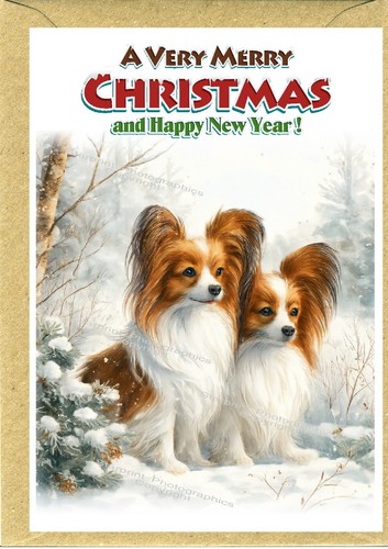 Papillon butterly dog 4 - papillon, a6