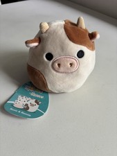 Flip A Mallow Squishmallow 2-in-1 Rosie & Ronnie Plush 5 Inch Soft Toy BNWT