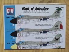 Intruder flock of - flock,