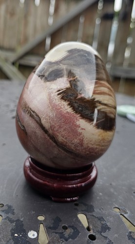 Petrified wood egg carving - petrified,